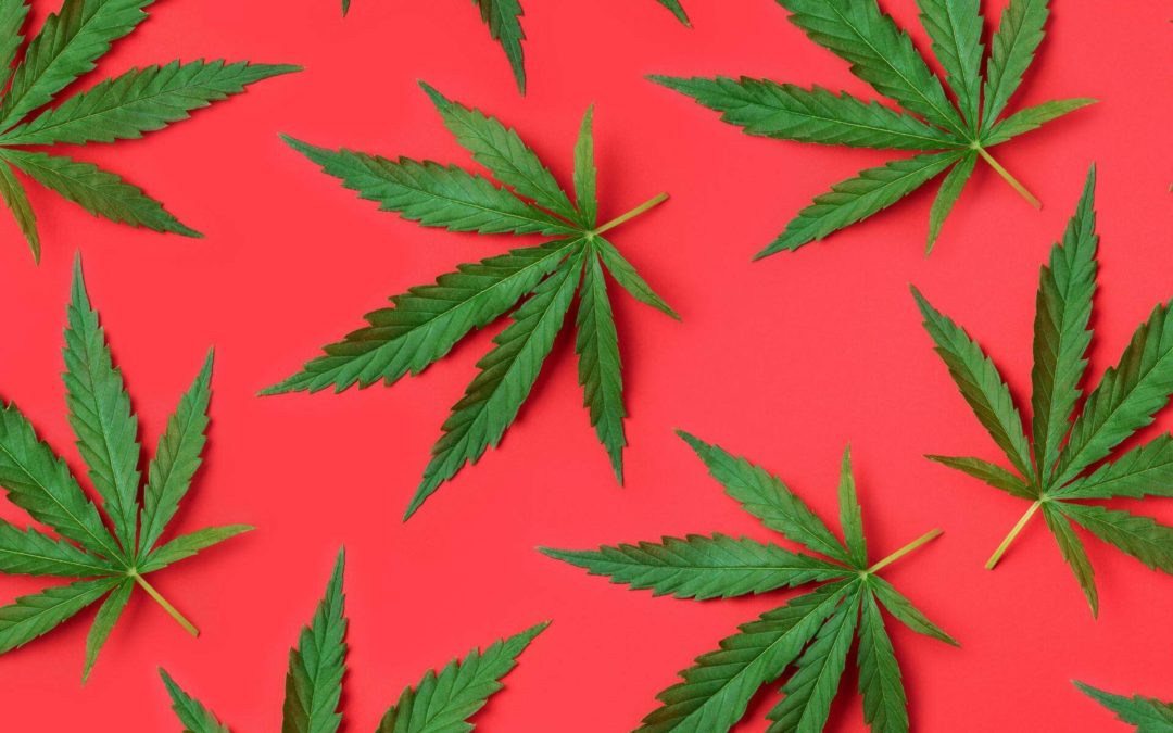 Why Your Rental Contract Should Address Cannabis Usage